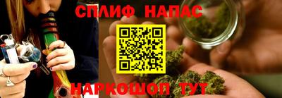 прущие грибы Можга