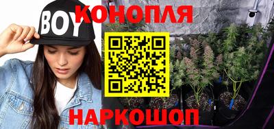прущие грибы Можга