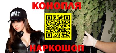 прущие грибы Можга