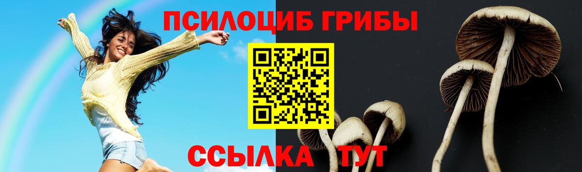 Галлюциногенные грибы мухоморы  Псилоцибиновые грибы GOLDEN TEACHER  Троицк  Вход с VPN 